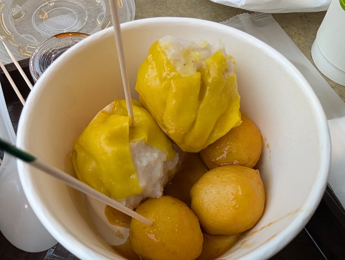 Shiu Mei & Curry Fish Ball