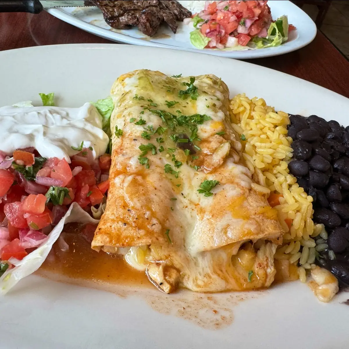 Grilled Chicken Enchiladas
