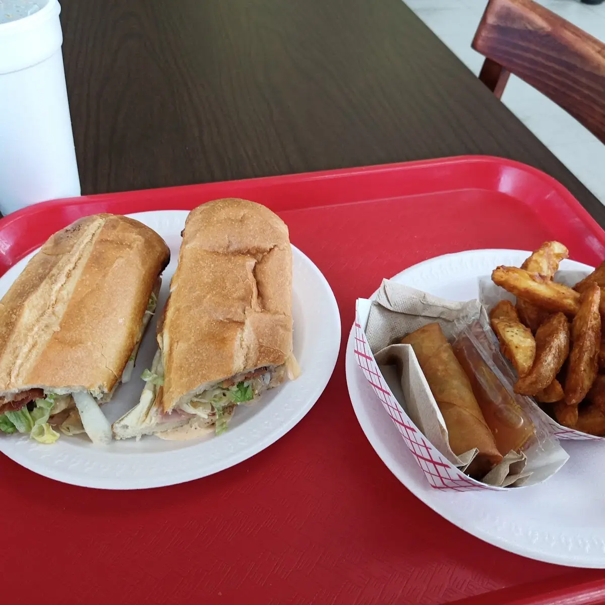 Italian Sub with Fries and Egg Rolls
