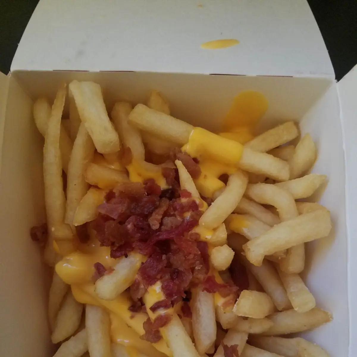 World Famous Fries