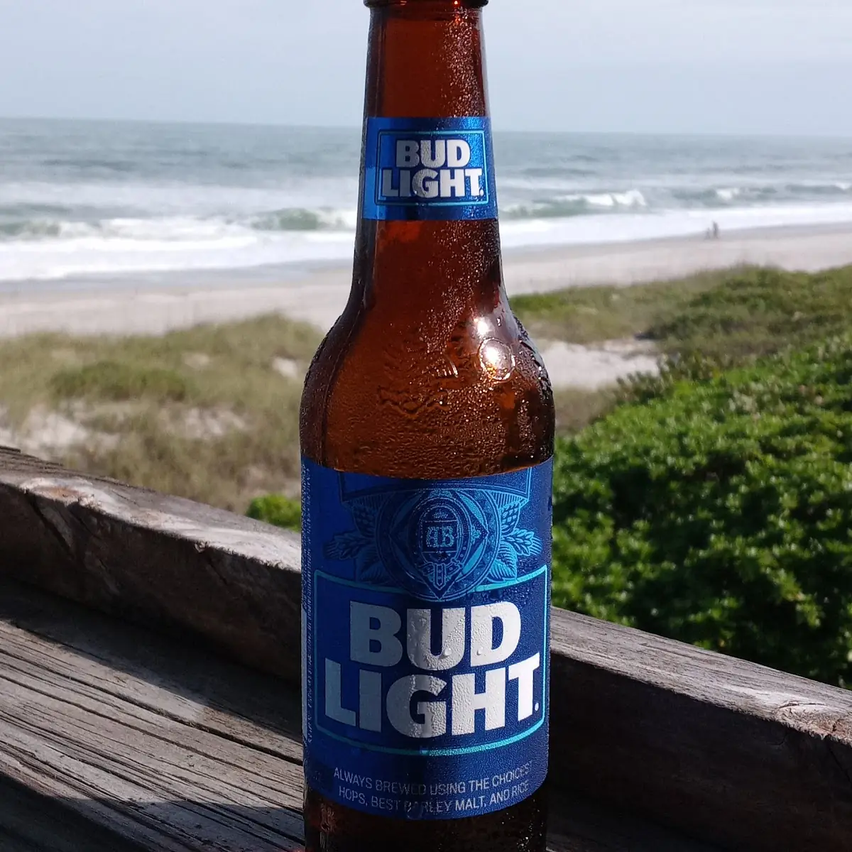Bud Light