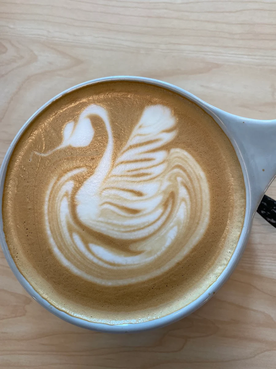 Hot Cocoa and Latte Art