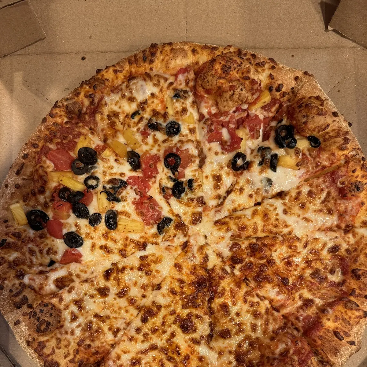 Cheese and Veggie Pizza