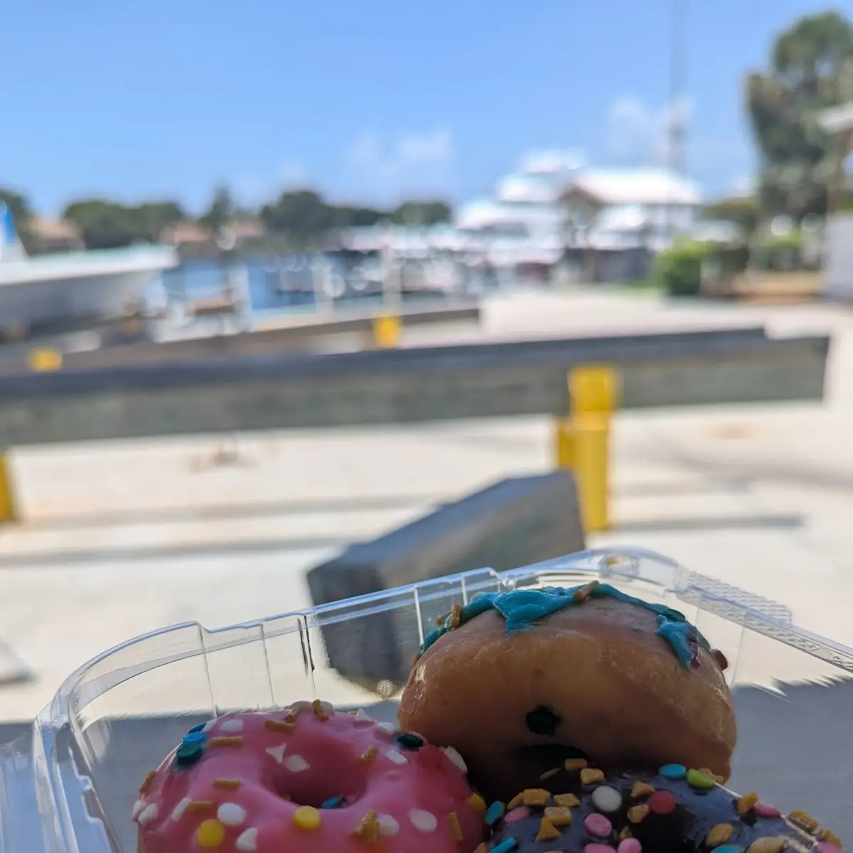 Doughnut