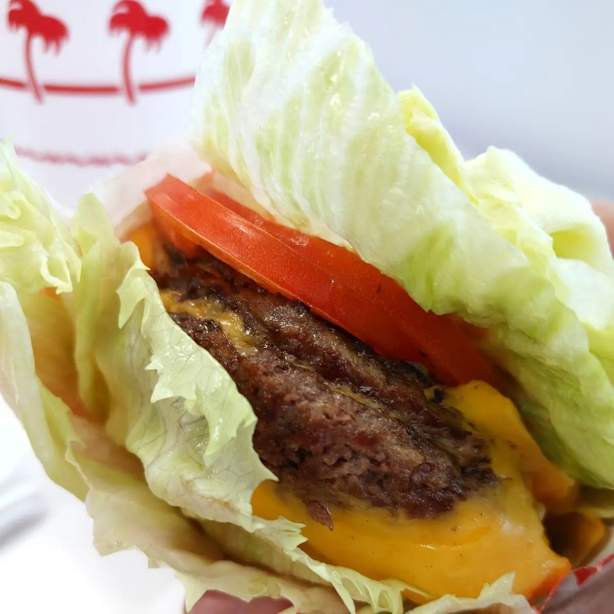 Triple Cheeseburger Protein Style