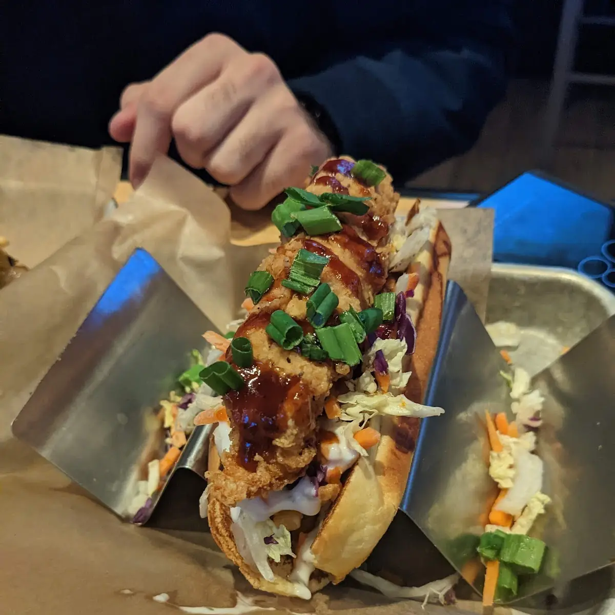 Hot Dog and Fries