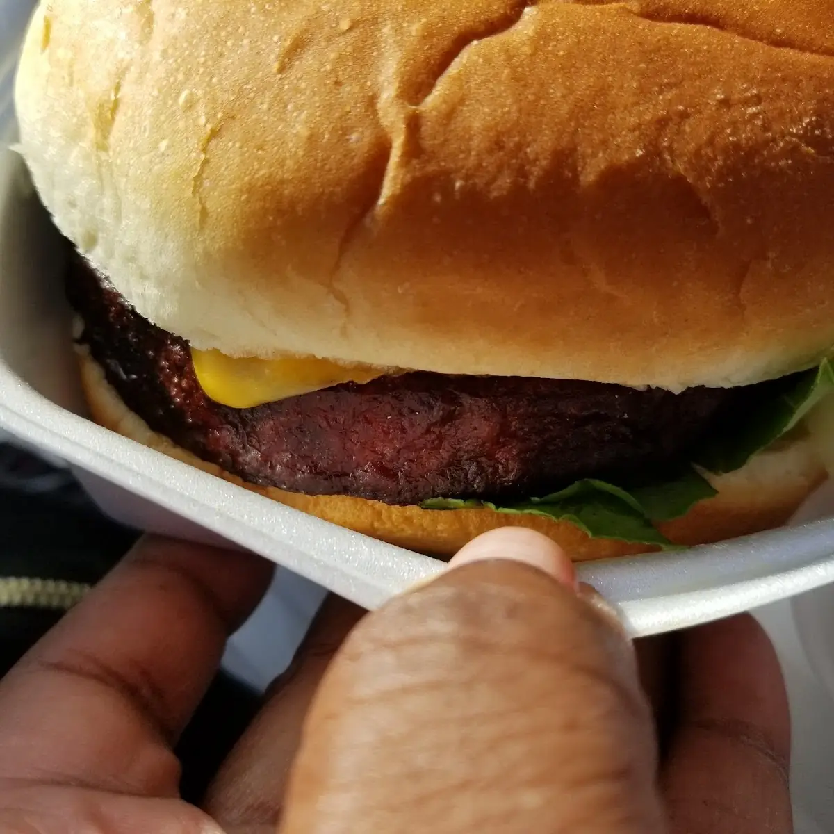 Bologna Sandwich