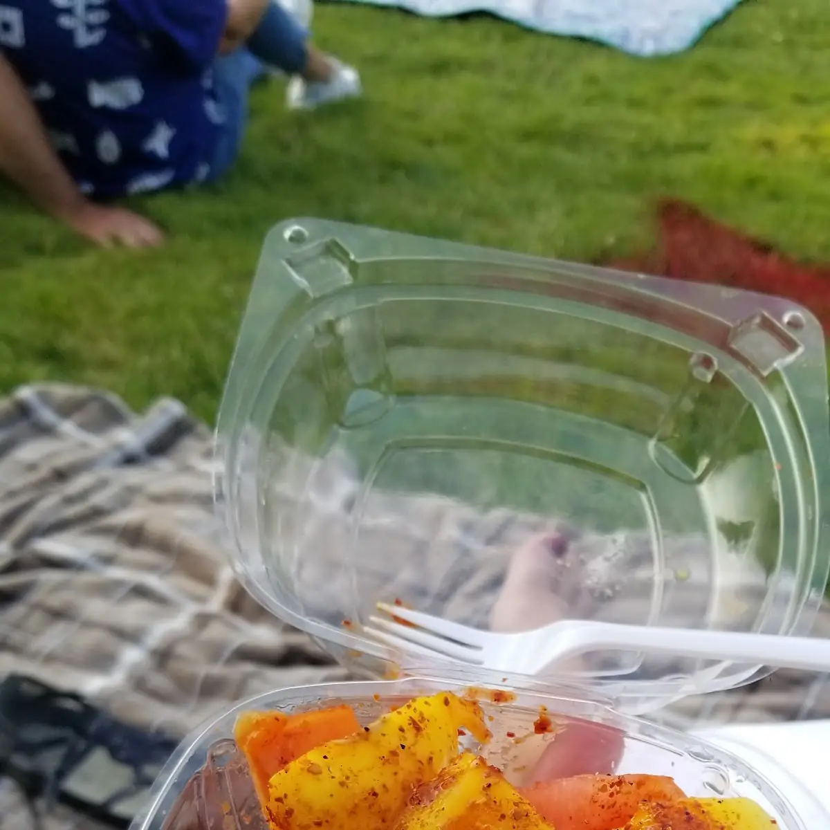 Fresh Fruit