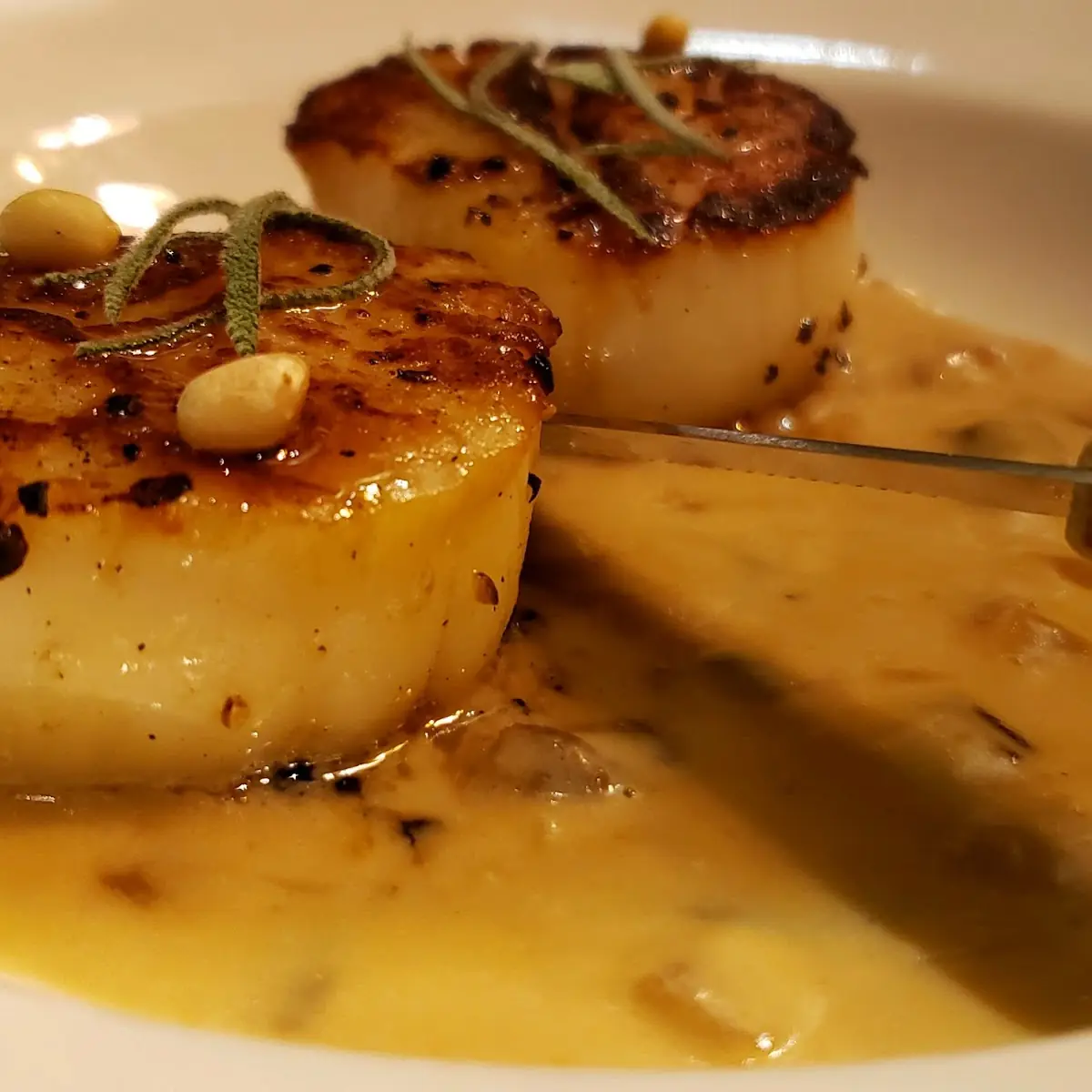 Pan Seared Scallops