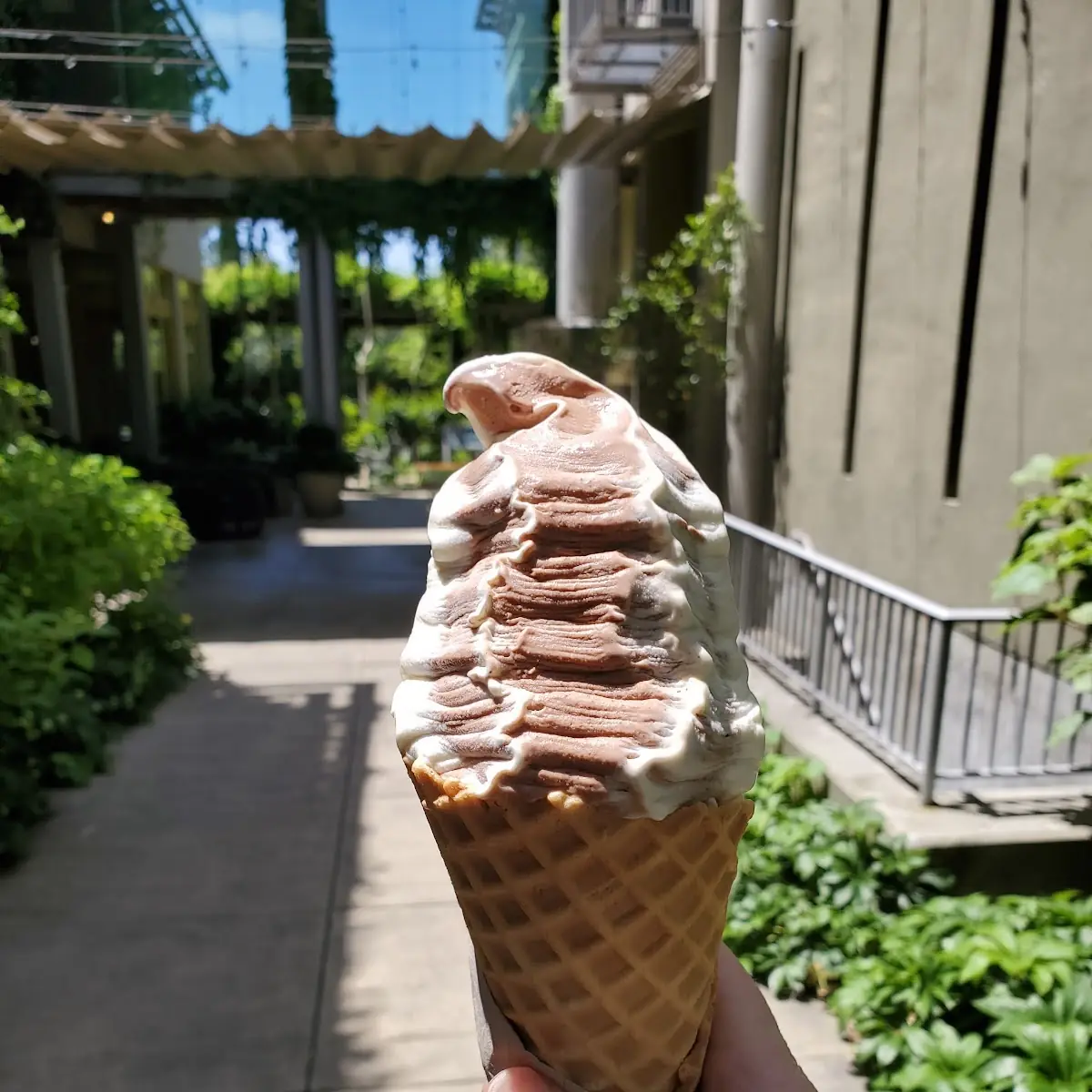 Chocolate and Vanilla Ice Cream Cone