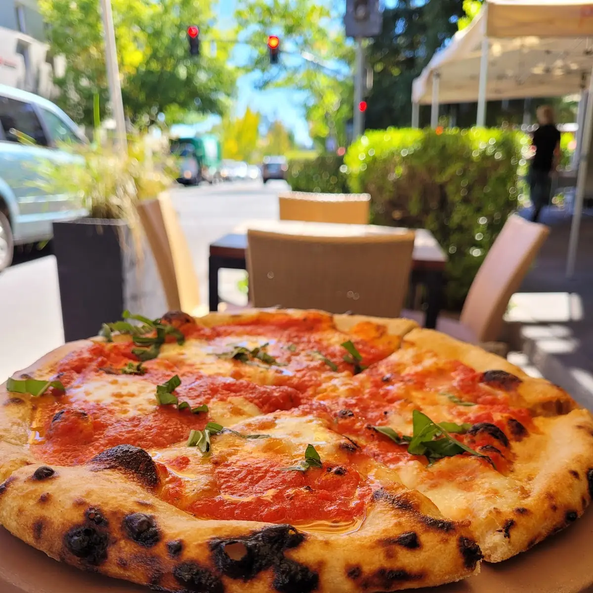 Tomato Basil Mozzarella