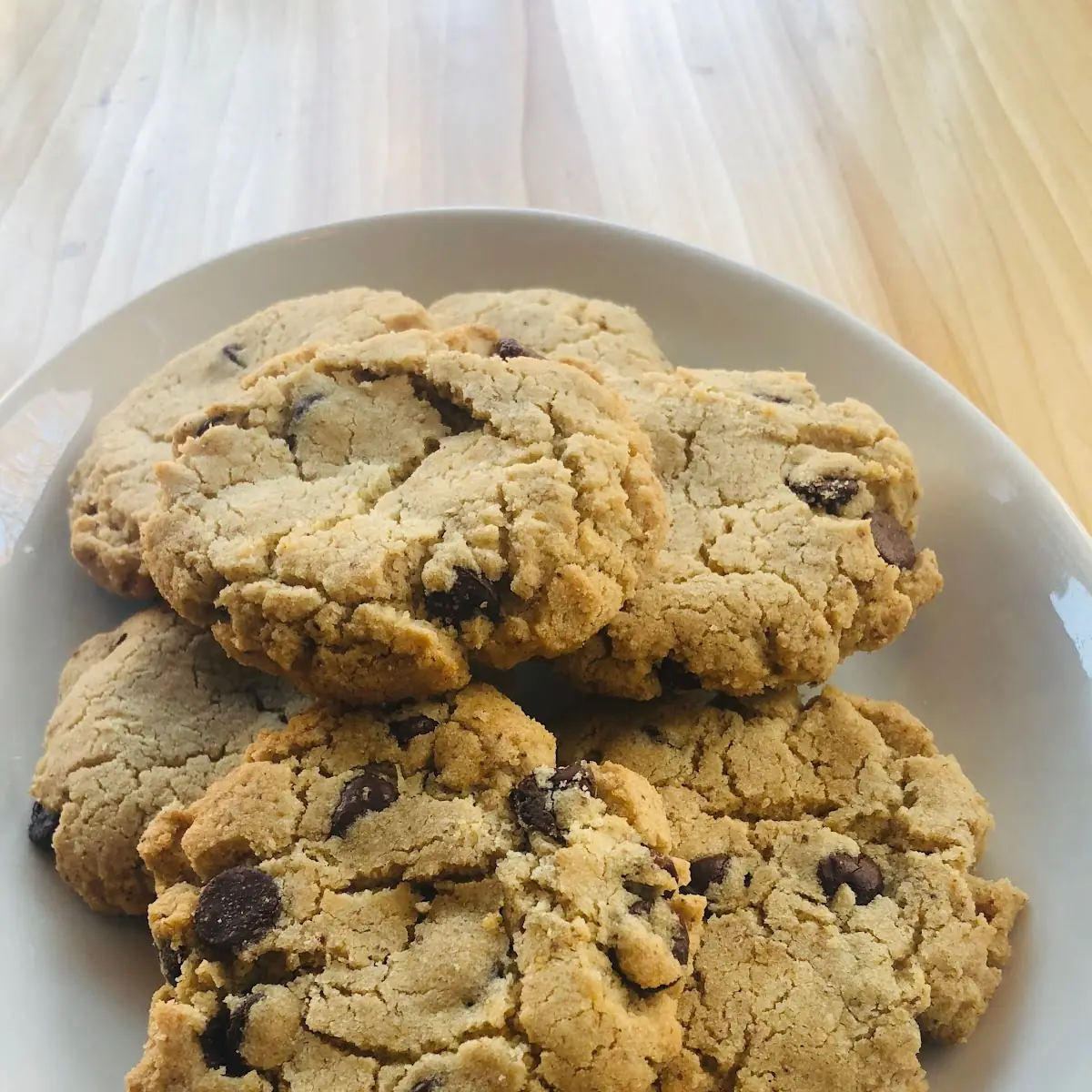 Chocolate Chip Cookie