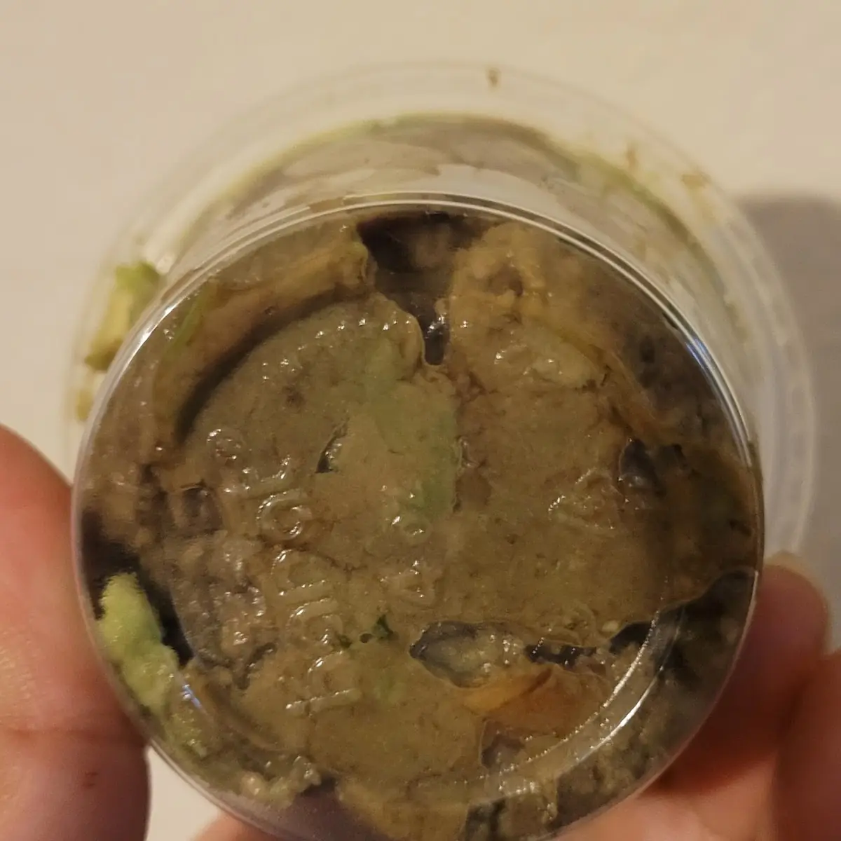 Guacamole Dip