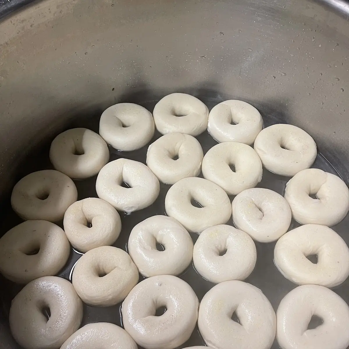 Doughnut