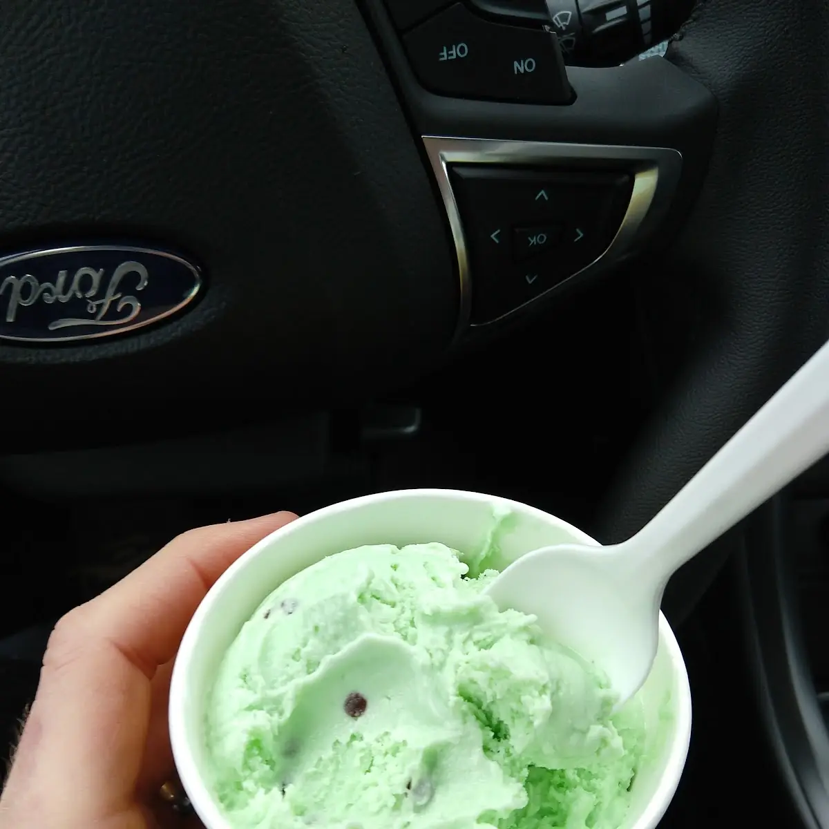 Mint Chocolate Chip Sundae Dasher