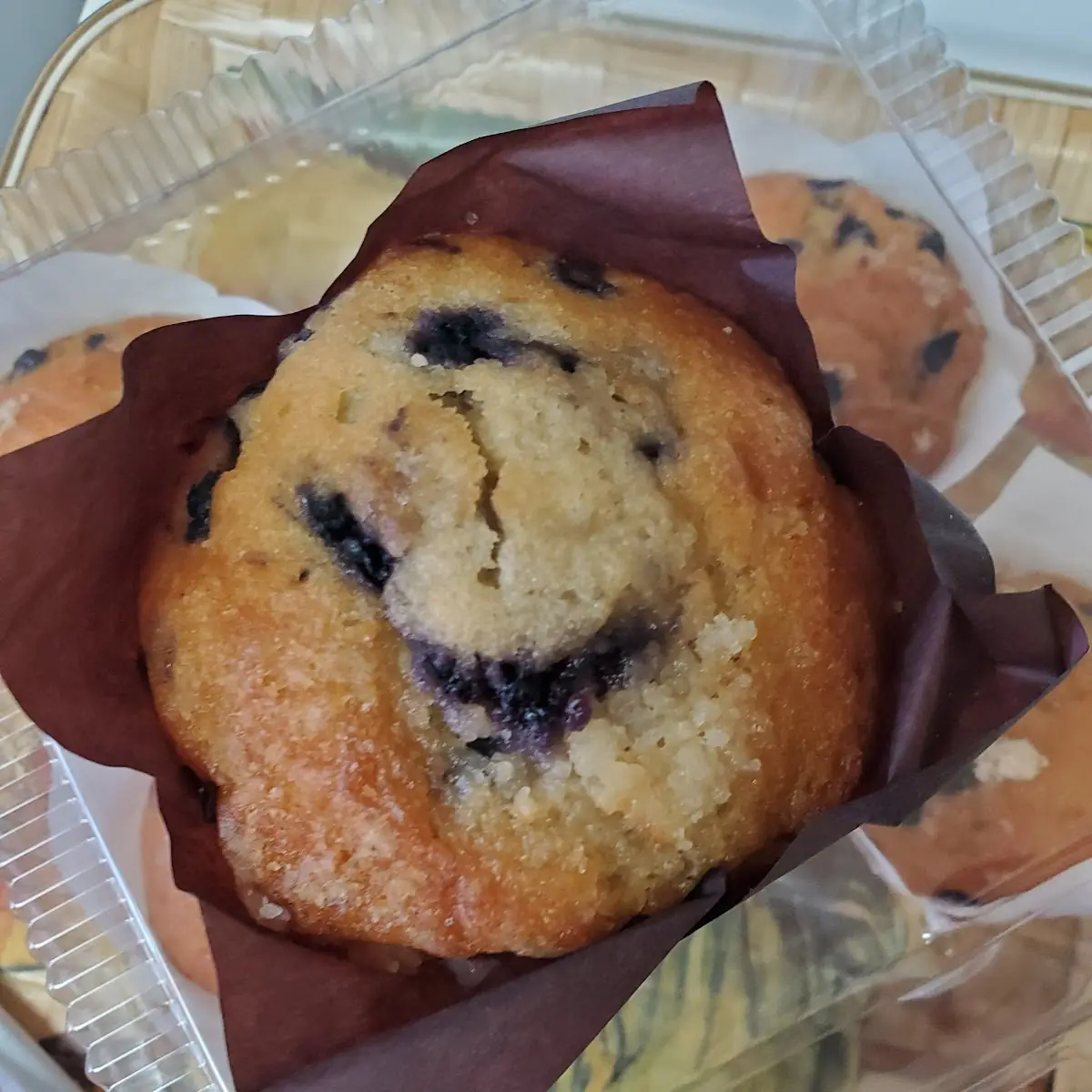 Blueberry Muffin
