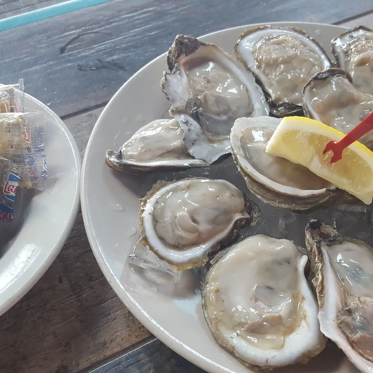 Oysters on the Half Shell