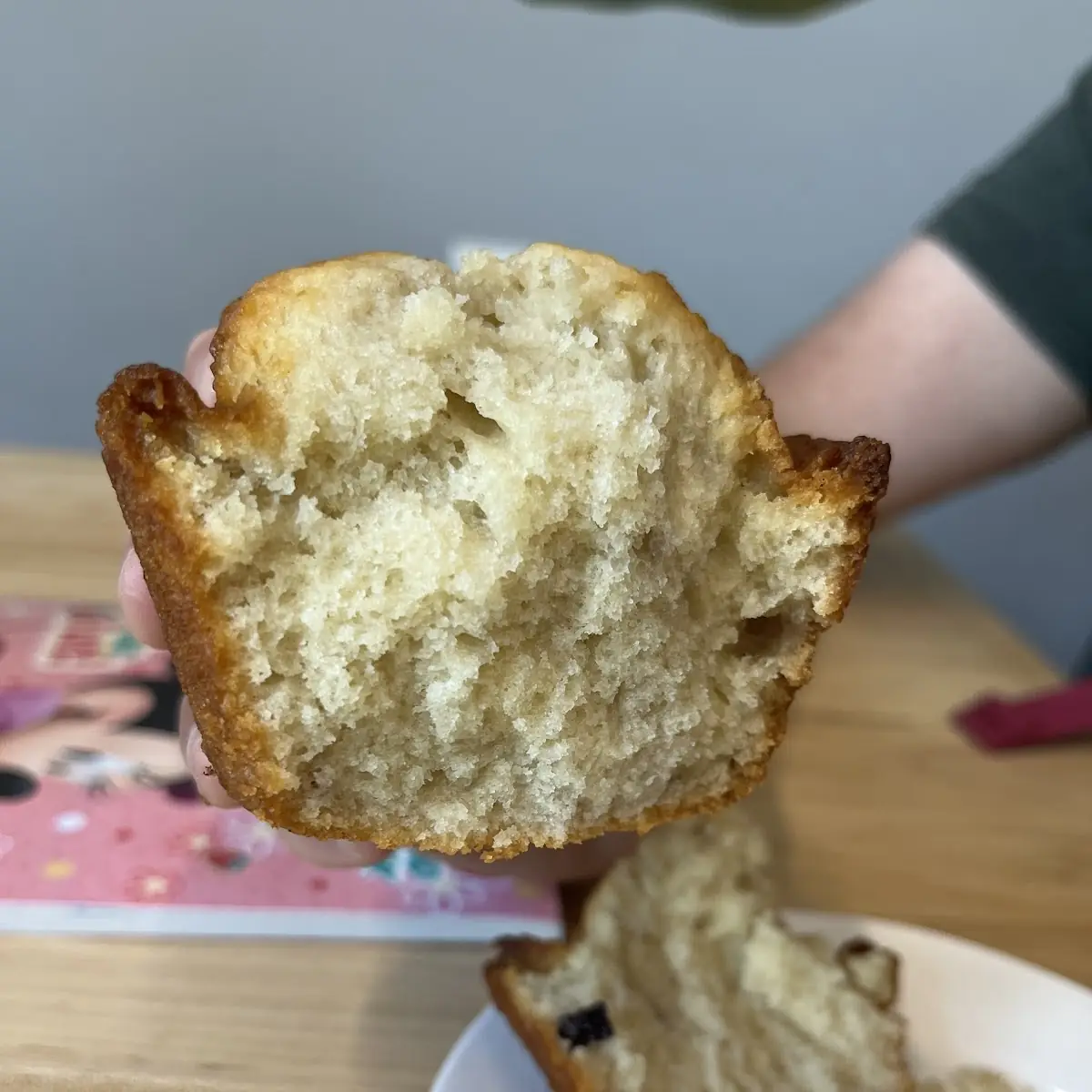Blueberry Muffin