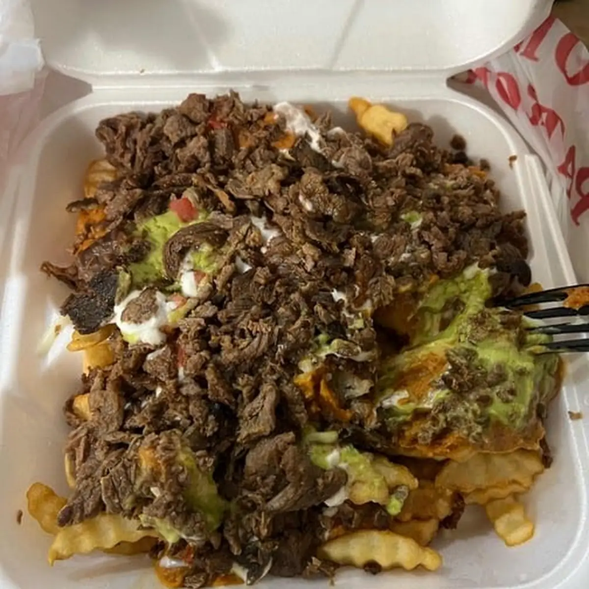 Carne Asada Fries