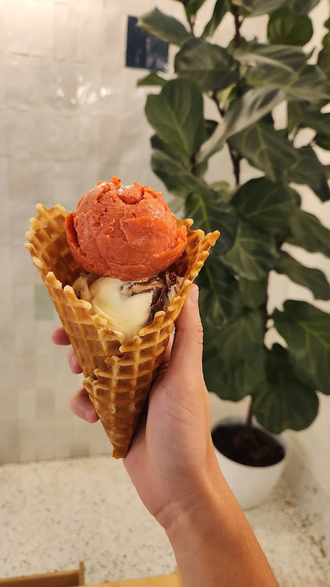 Gelato