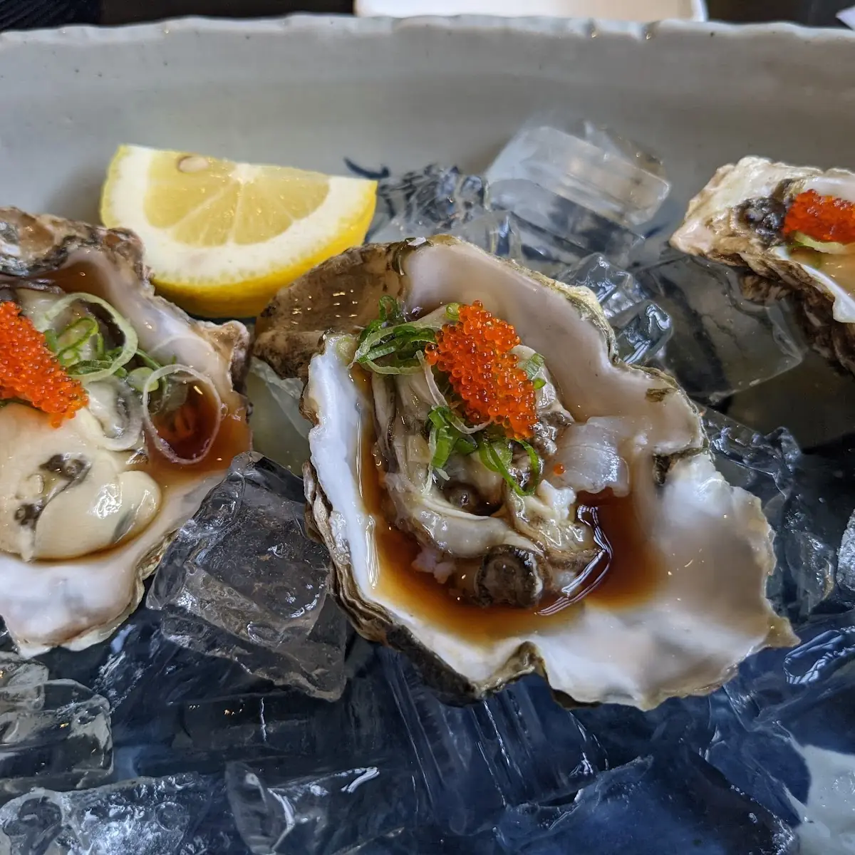 Fresh Oysters