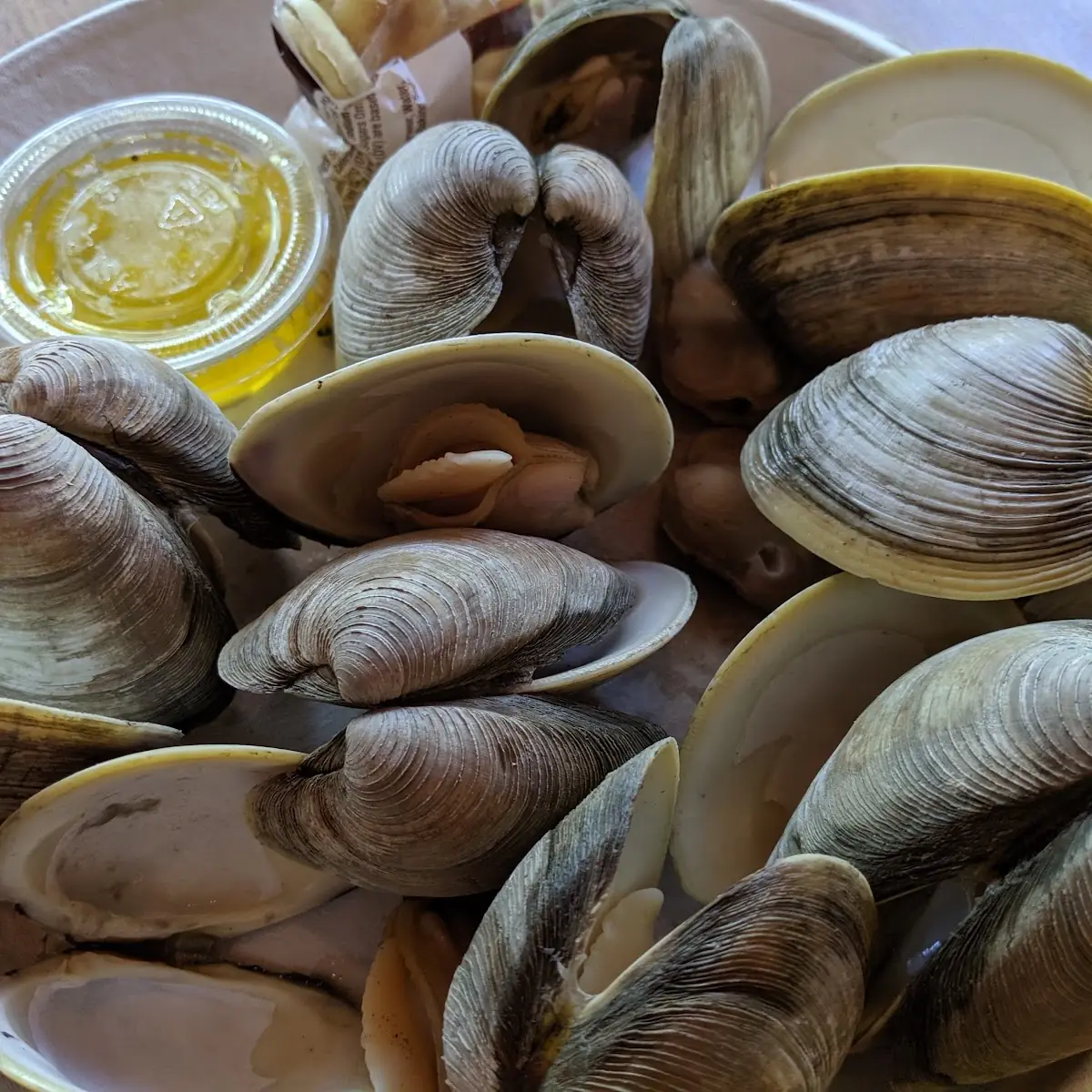 Steamed Clams