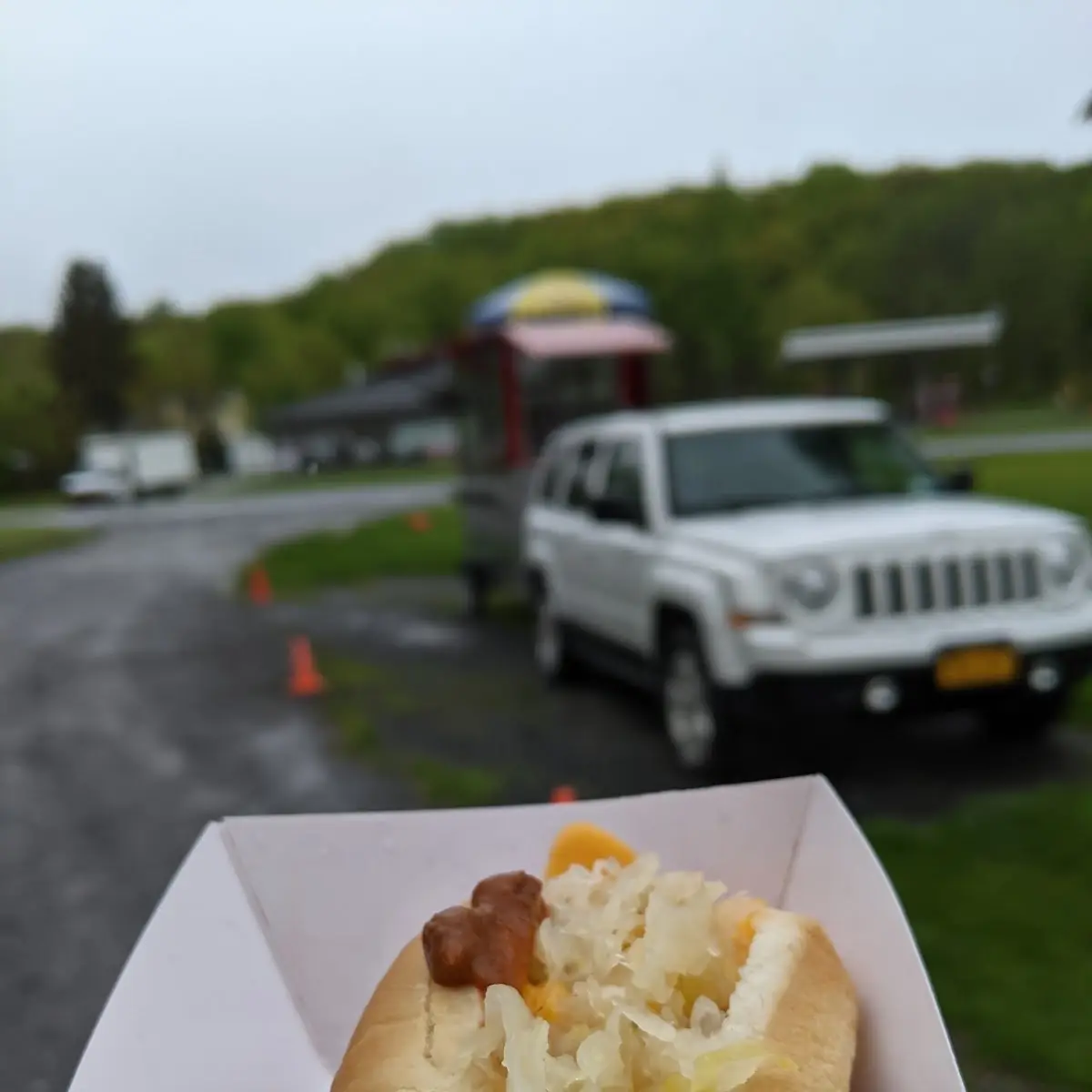 Classic Hot Dog