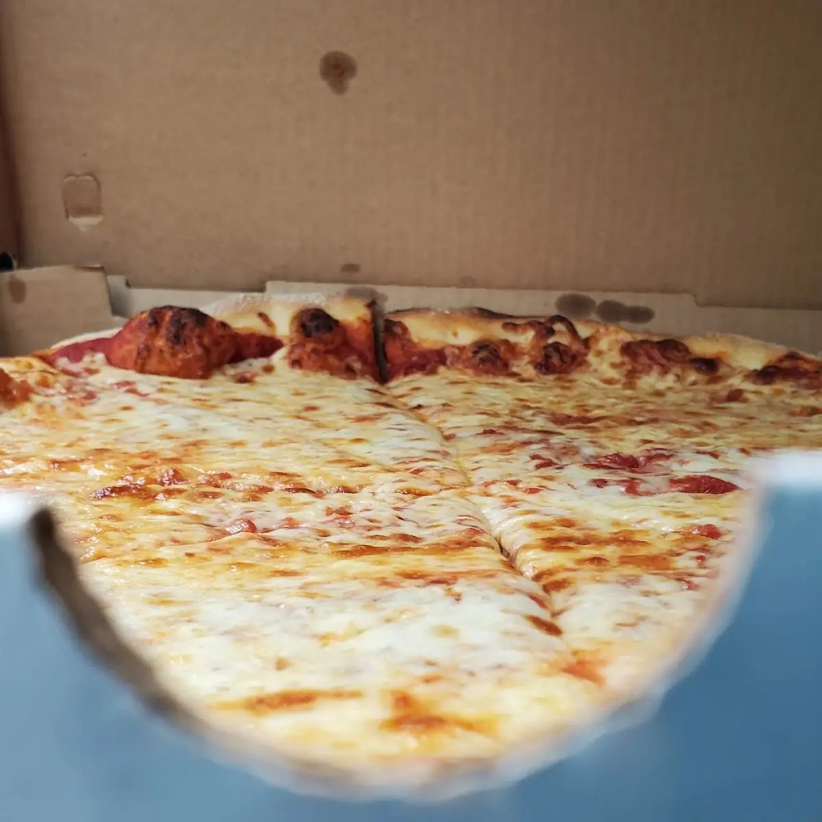 Plain Pizza