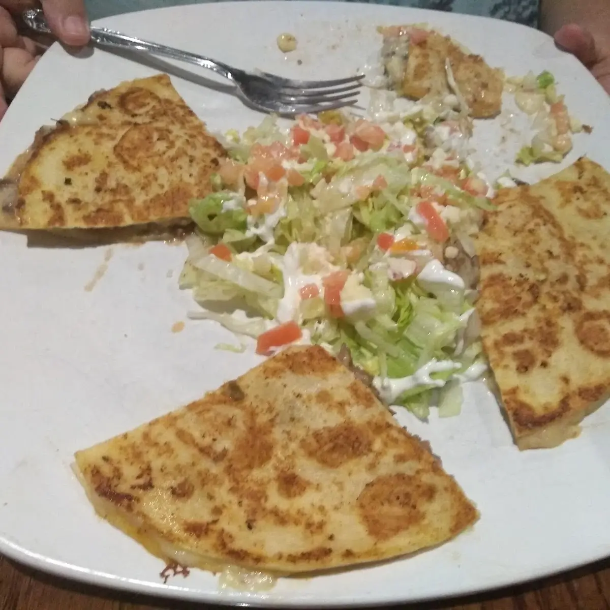 Steak Quesadilla
