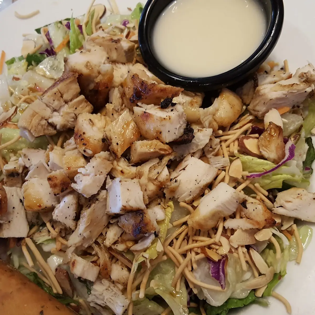 NEW Lemon Parmesan Chicken