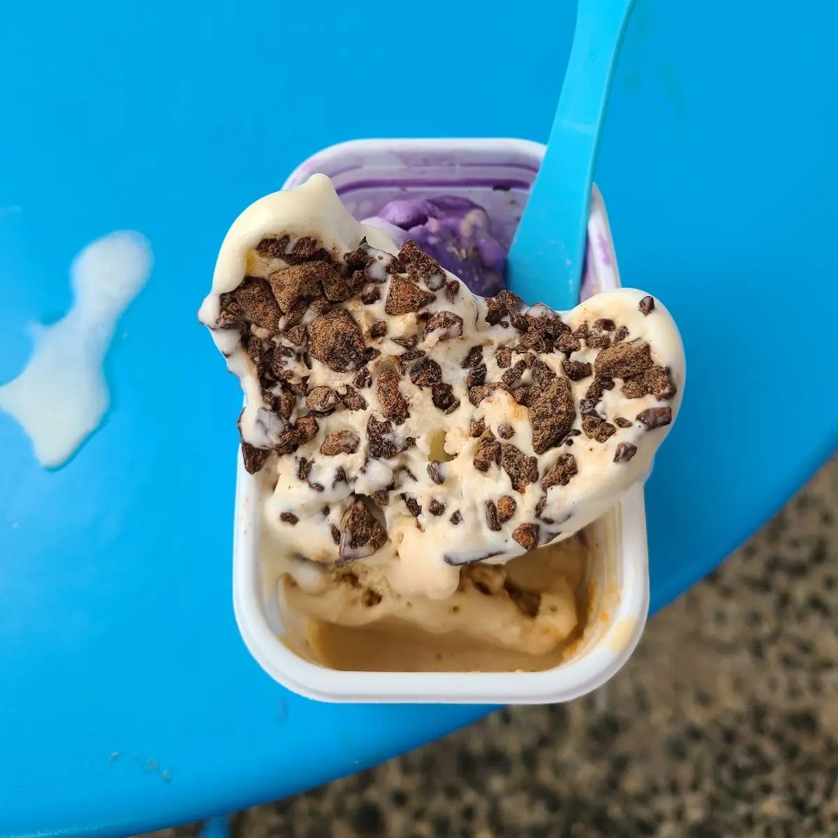 Mint Chocolate Chip