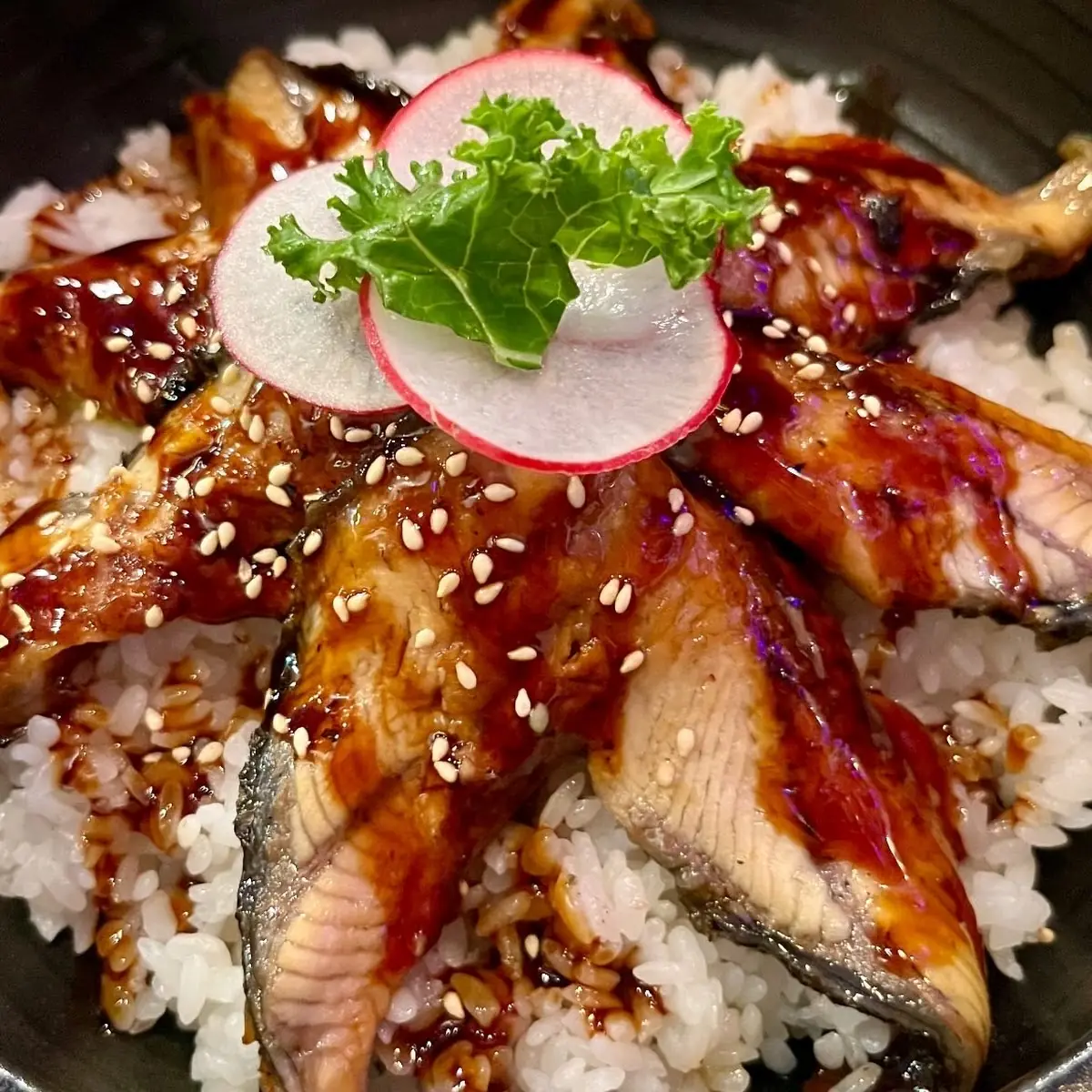 Unagi Don