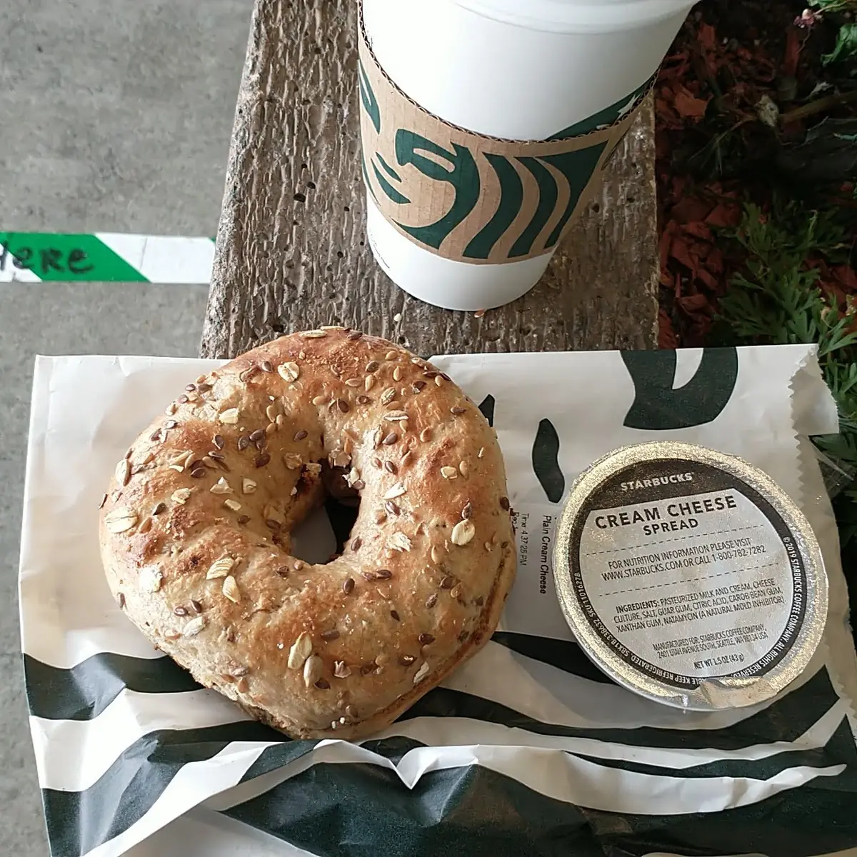 Sprout Grain Bagel and Cream Cheese