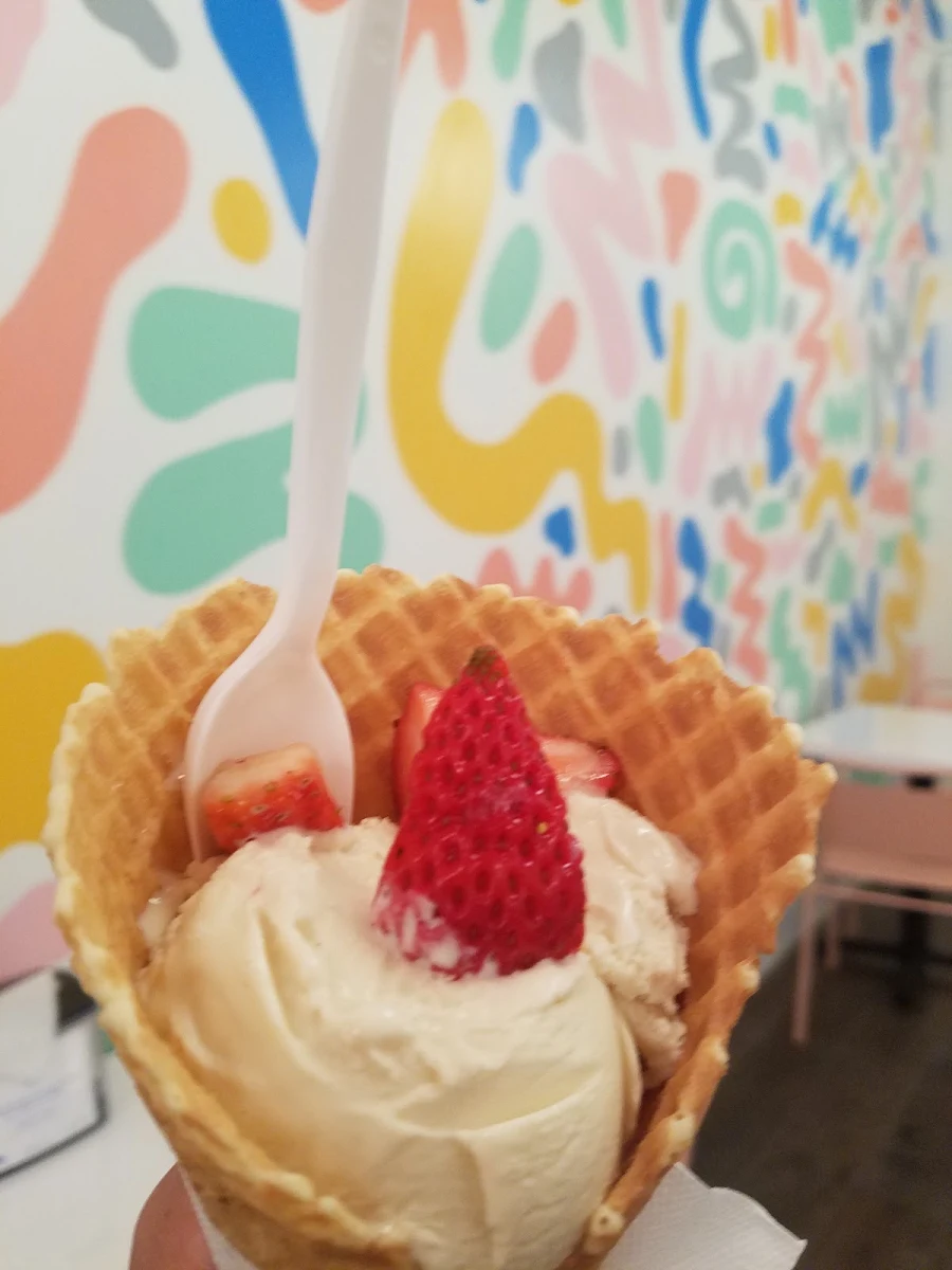 Waffle Cone Mexican Vanilla Ice Cream