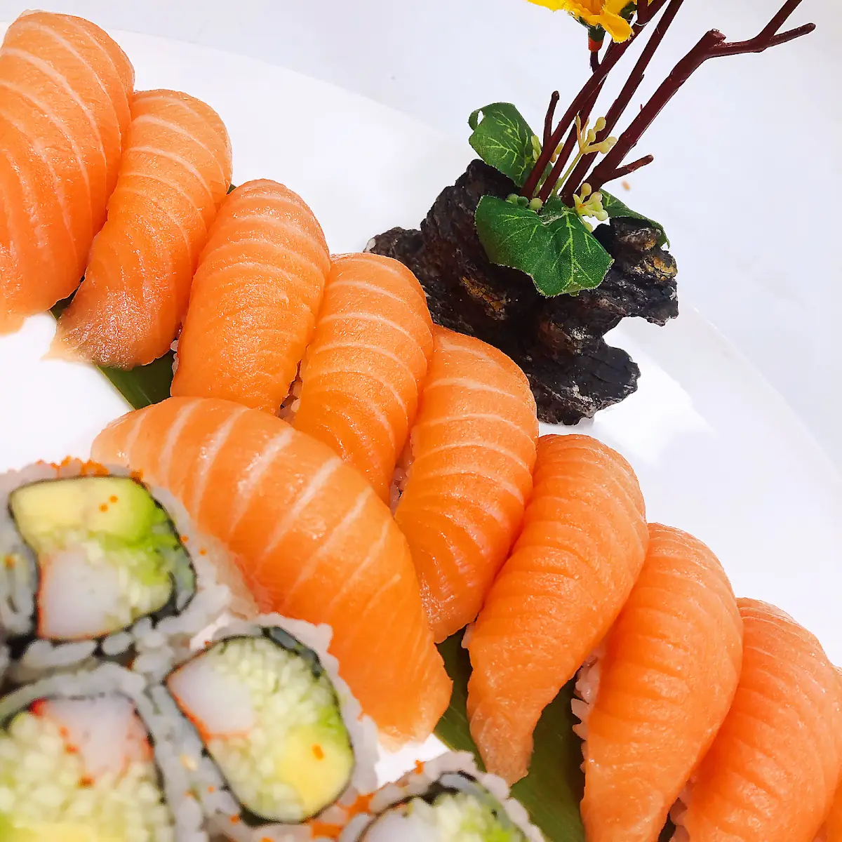 Salmon Sake