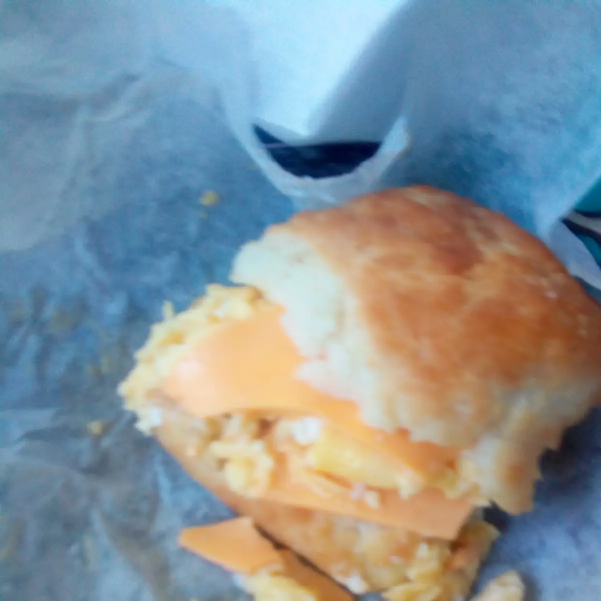 Bologna Egg and Cheese Biscuit