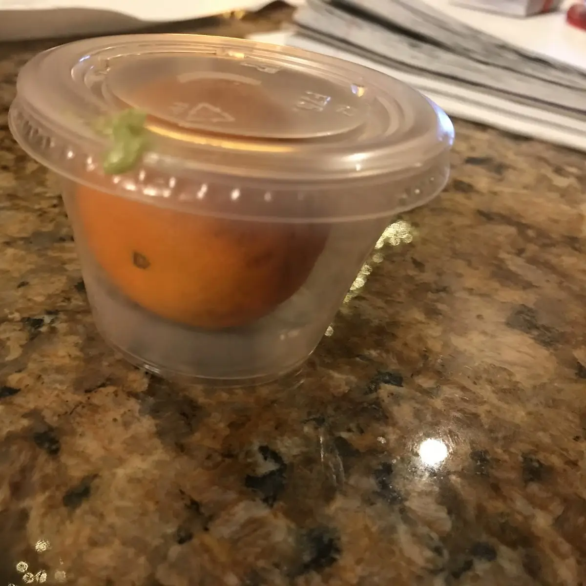 Fruit Cup