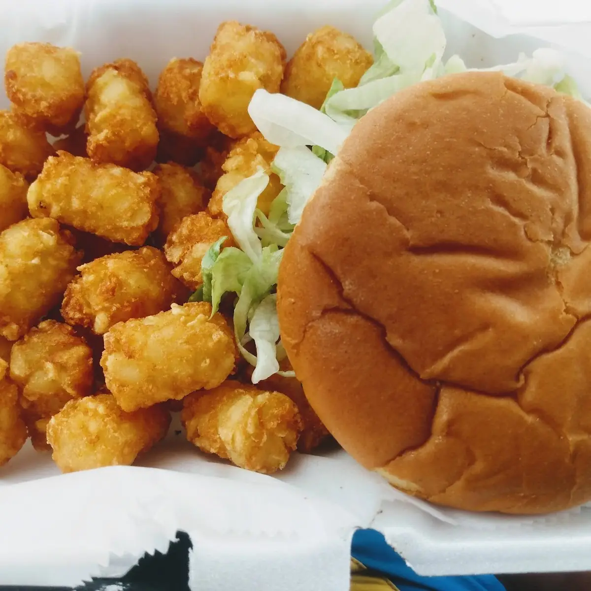 Burger and Tots