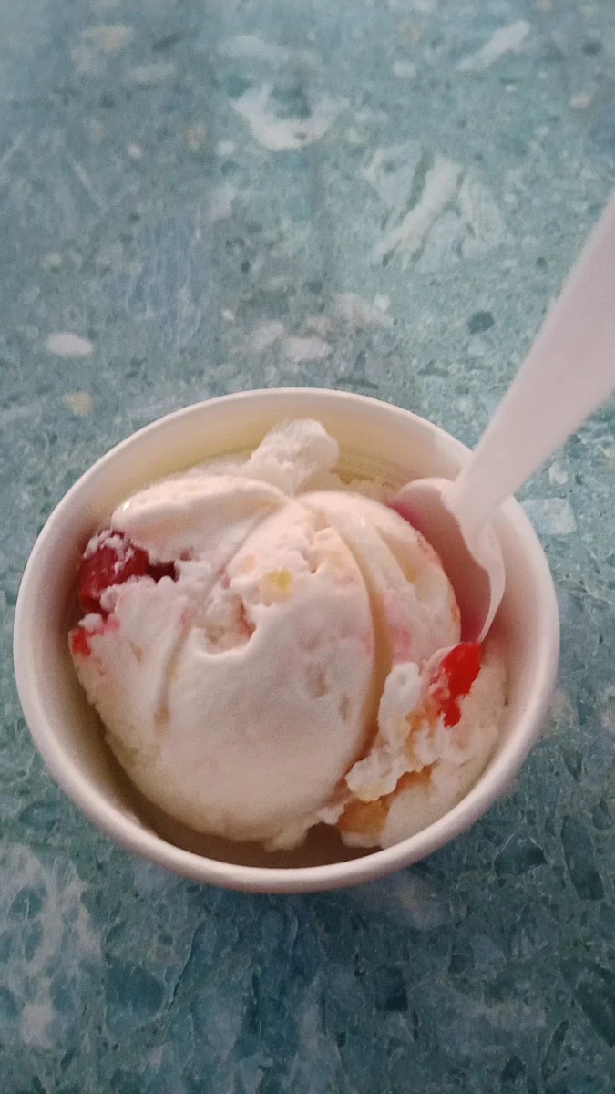 Coconut Ice Cream