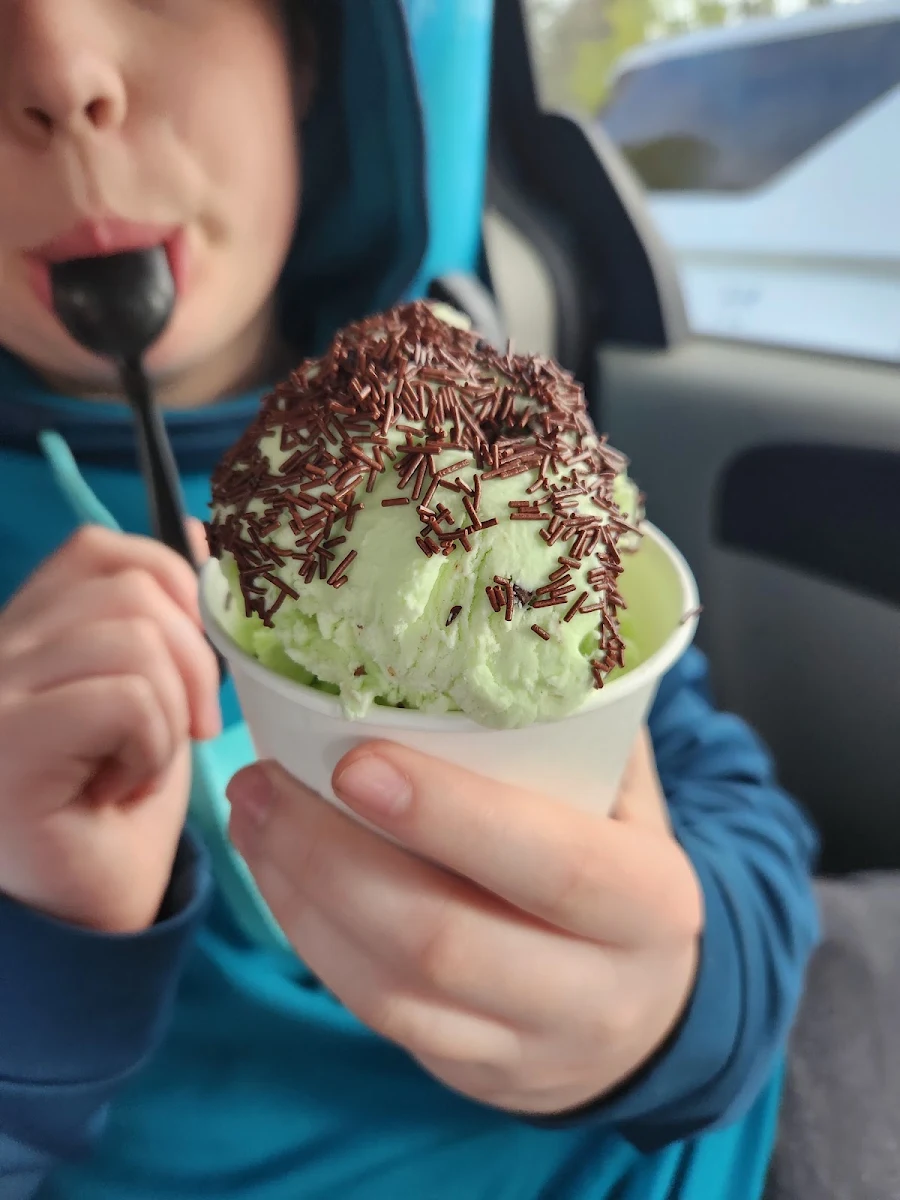 Mint Chocolate Chips Ice Cream