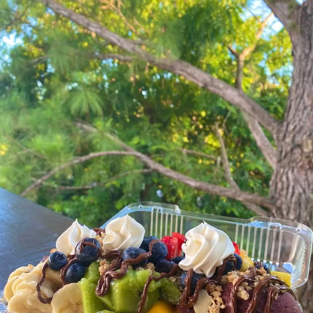 Mangó Frutas Mixtas Brownie