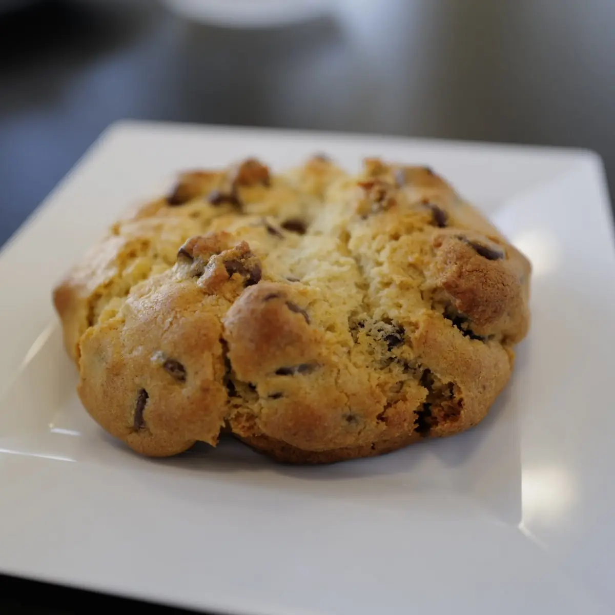 Chocolate Chip Cookie