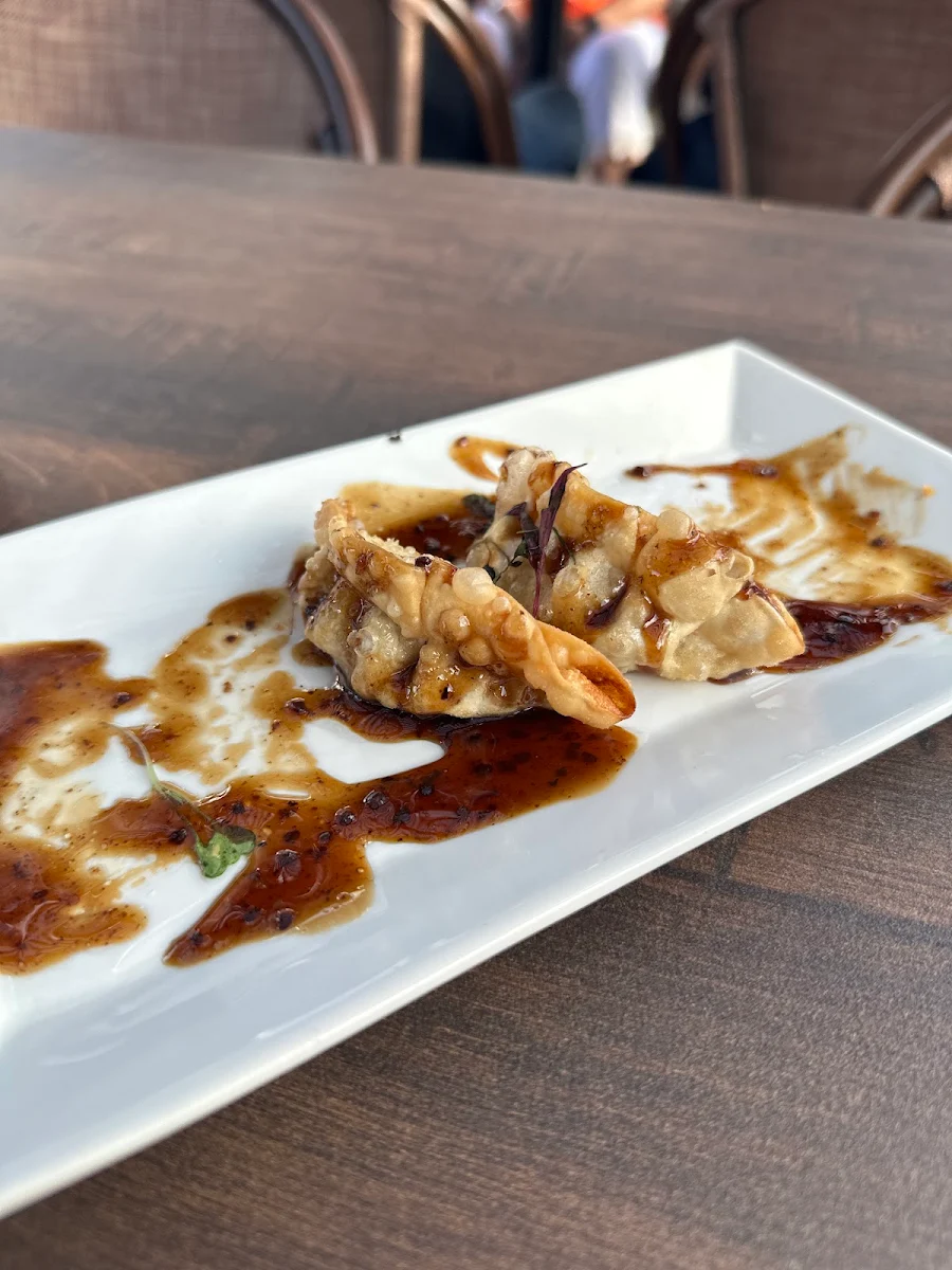 Crispy Chicken Potstickers