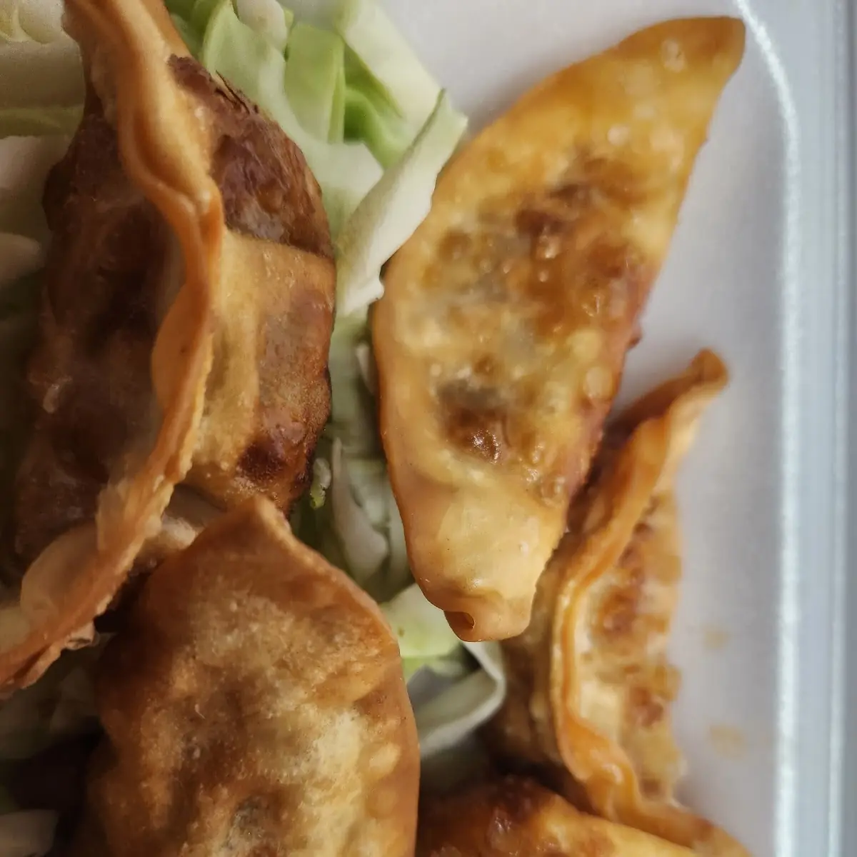 Fried Dumplings