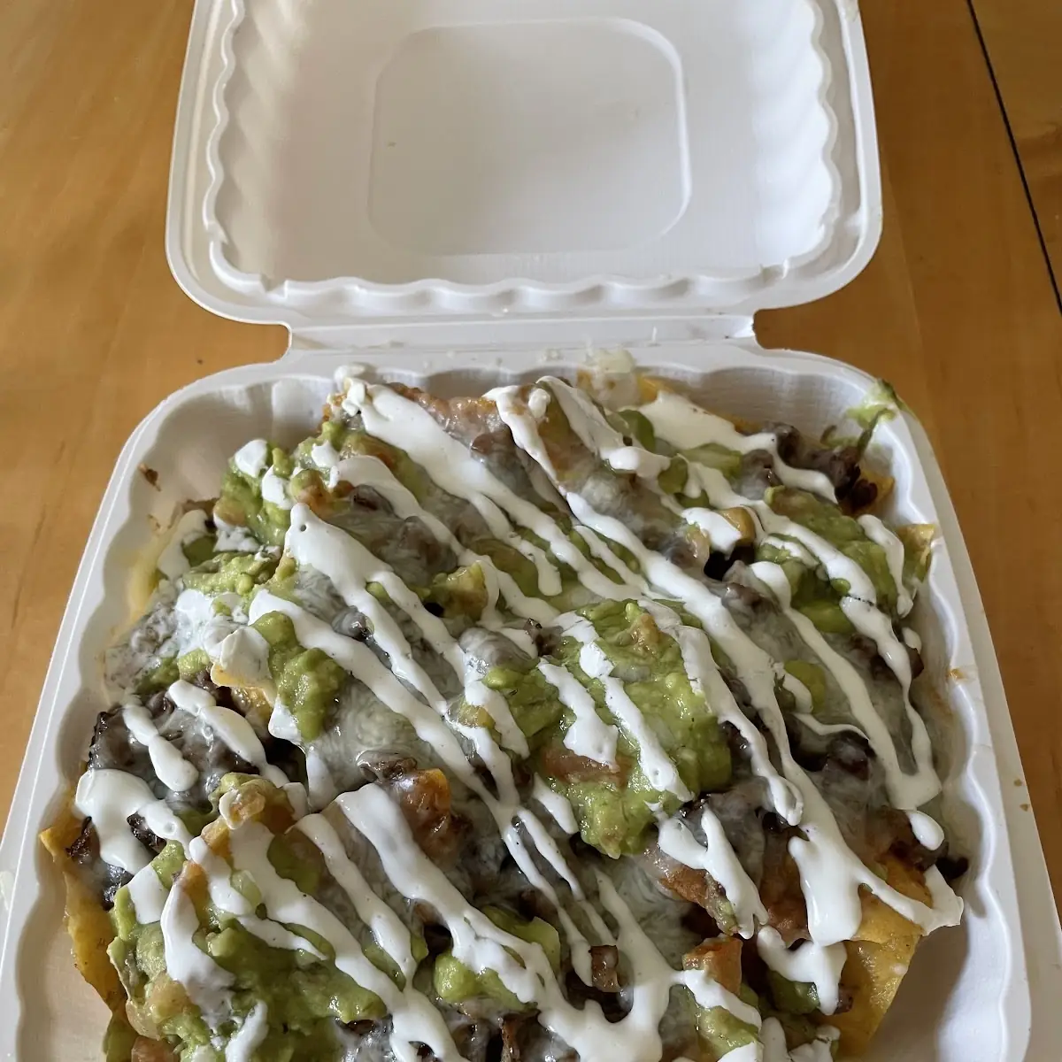 Carne Asada Fries