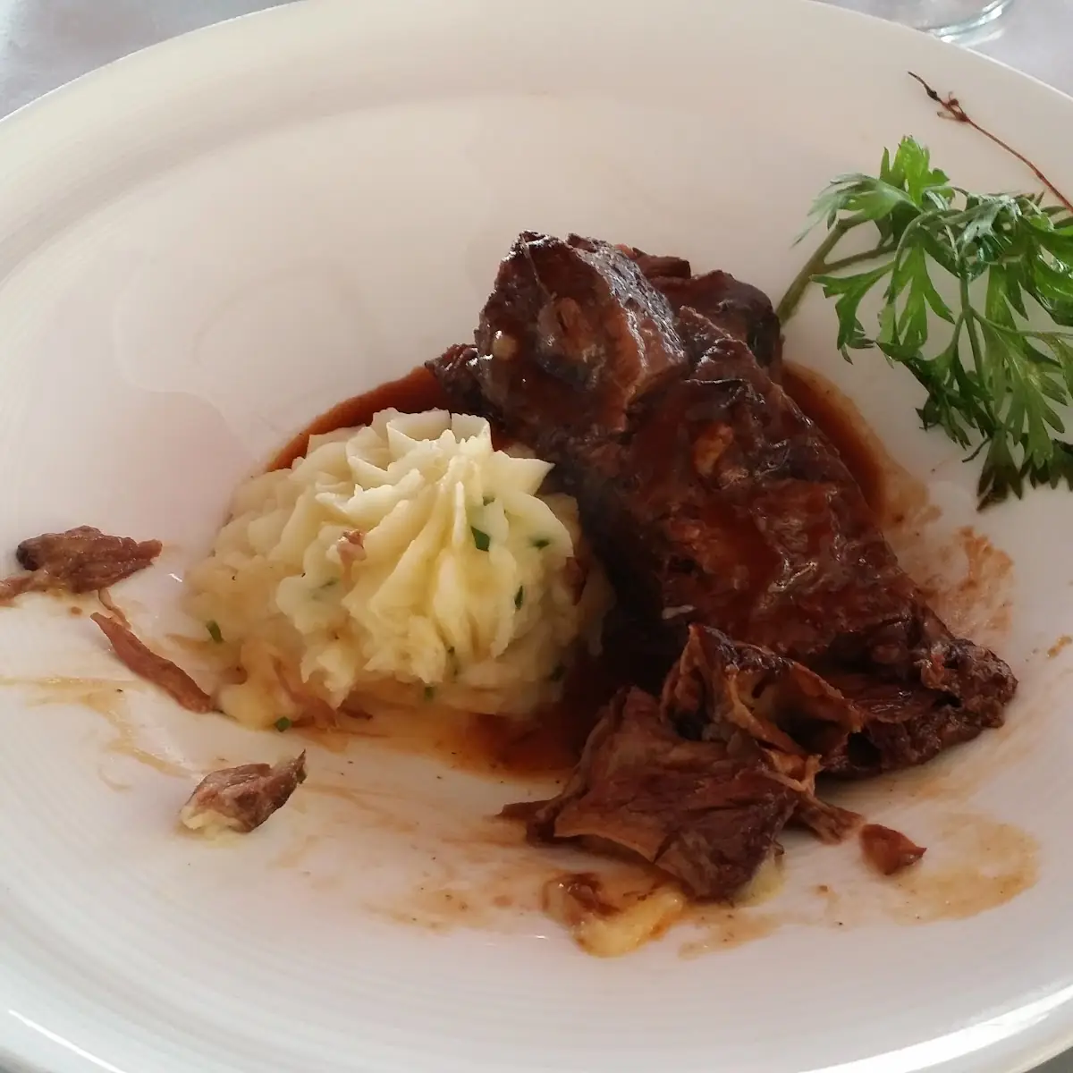 Bison Short Ribs