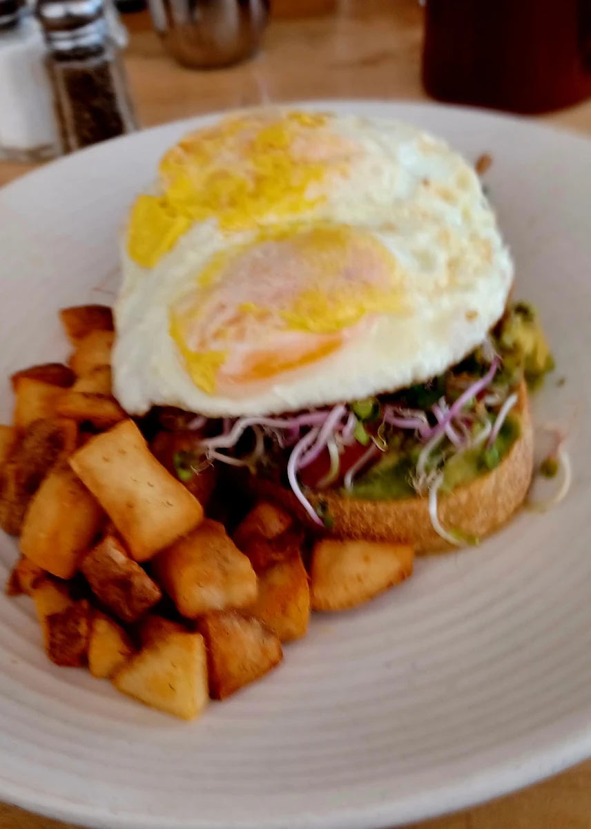 Avocado Toast
