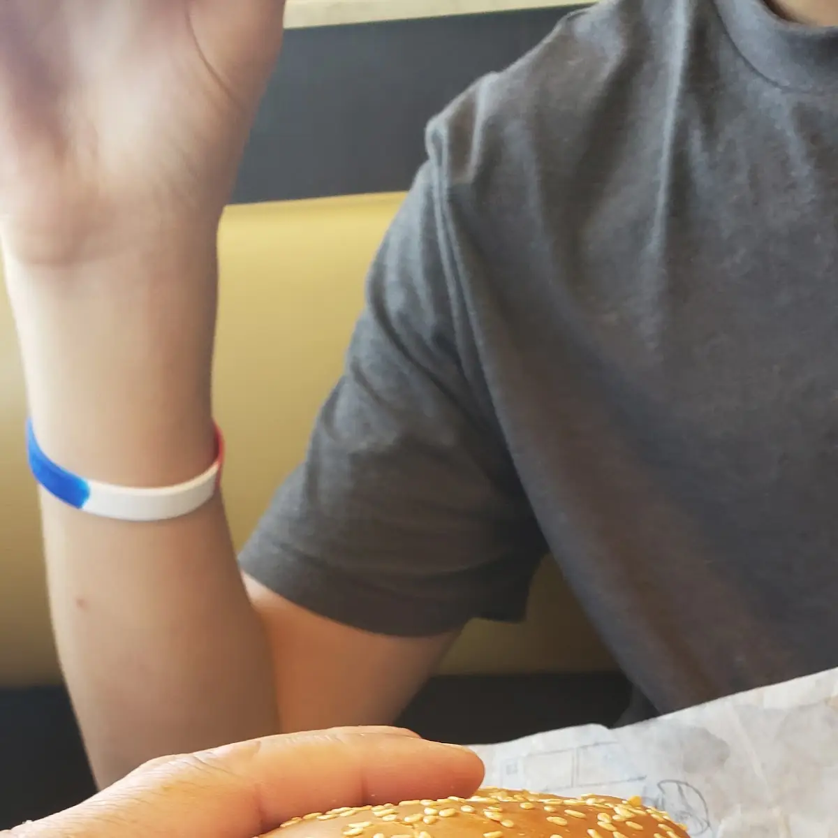 Pulled Pork Sandwich