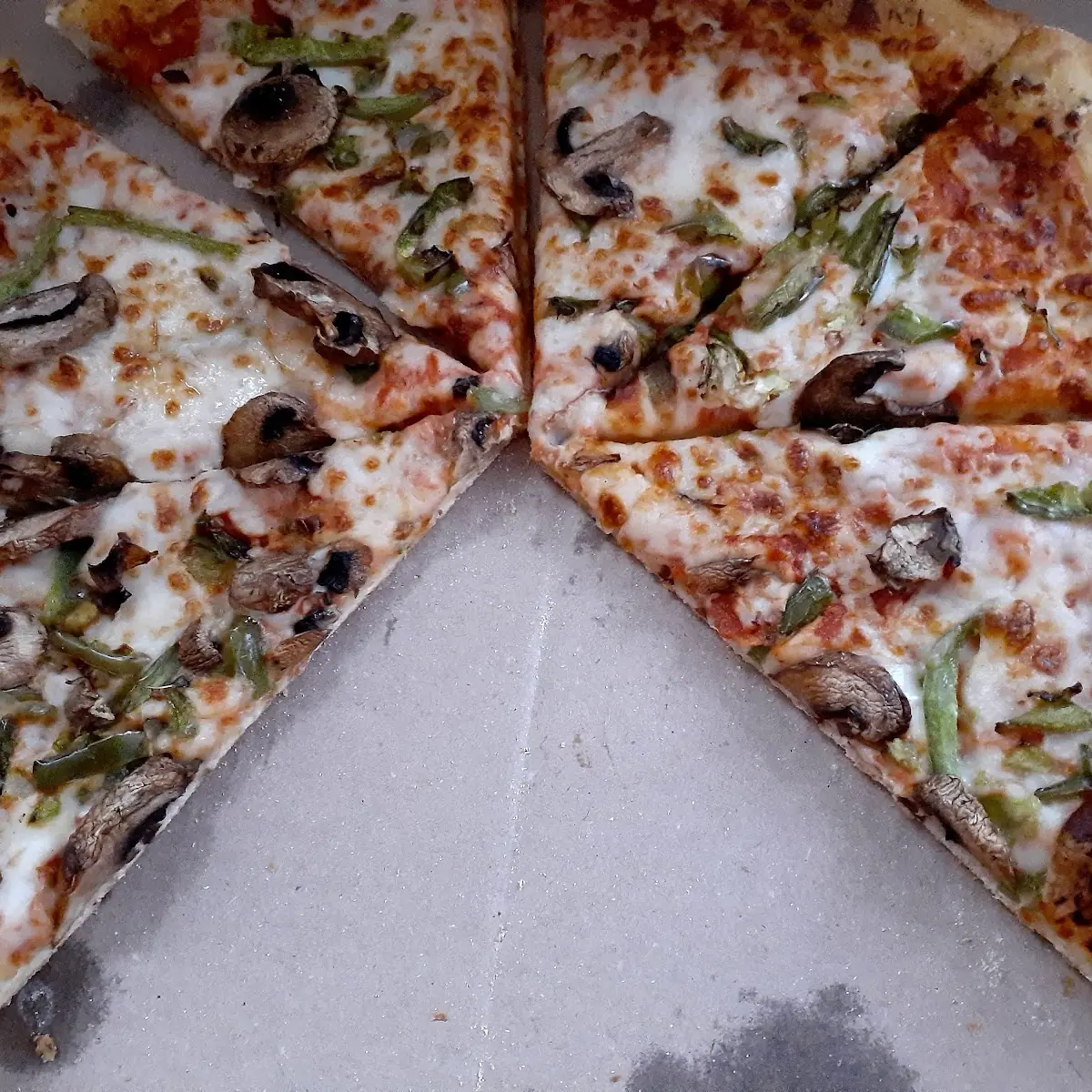 Green Pepper and Mushroom Pizza