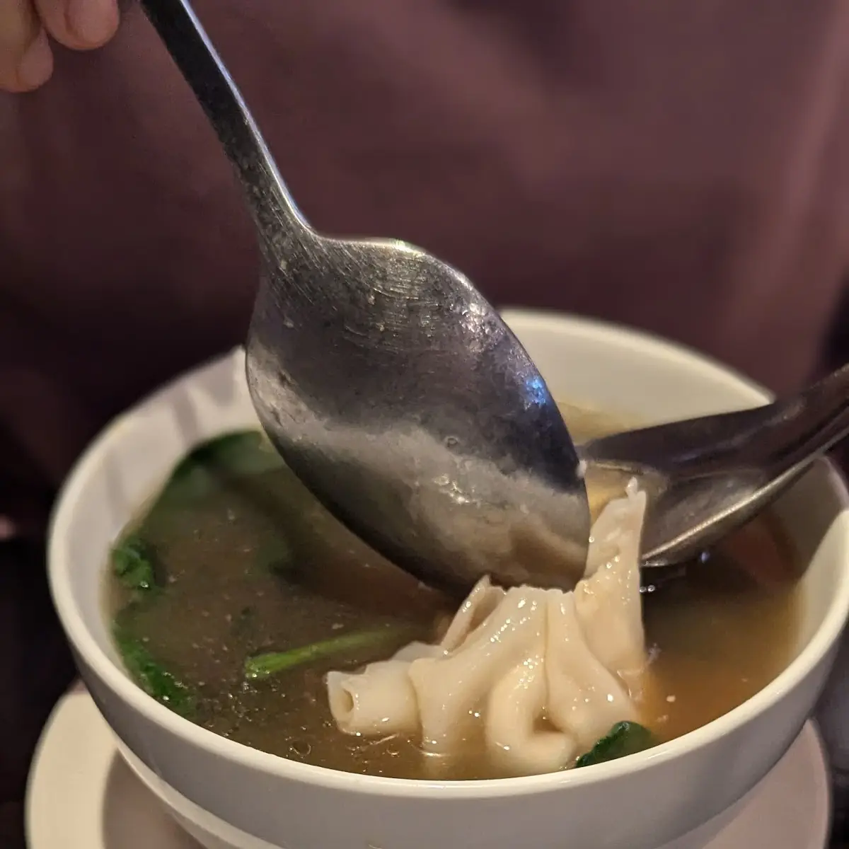 Wonton Soup